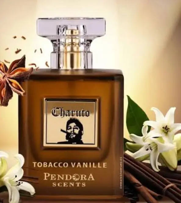 Charuto tobaco